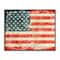 Stupell Industries Rustic American Flag Framed Giclee Art